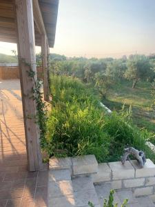 um alpendre de uma casa com vista para um campo em Vivi-Vendicari em Noto