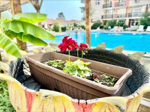 Photo de la galerie de l'établissement Chateau Aheloy 2 - Menada Apartments, à Aheloy 35 autres photos