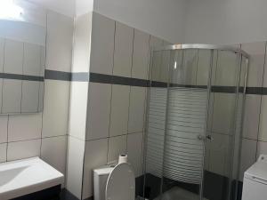 a bathroom with a shower and a toilet and a sink at Sunset Apartment in Vonitsa