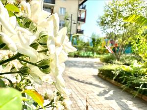 Photo de la galerie de l'établissement Chateau Aheloy 2 - Menada Apartments, à Aheloy
