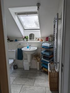 ein Badezimmer mit einem Waschbecken, einem WC und einem Dachfenster in der Unterkunft Village life- Private suite - Living Room, Bedroom and Bathroom in Newtown Saint Boswells