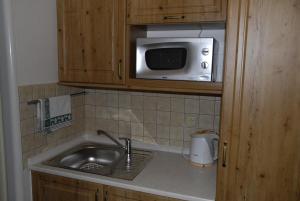 eine Küche mit einer Spüle und einer Mikrowelle in der Unterkunft Selský dvůr 1 in Police nad Metují