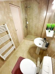 a bathroom with a toilet and a sink at Central Park House in Cluj-Napoca