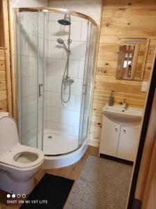 ein Bad mit einer Dusche, einem WC und einem Waschbecken in der Unterkunft Domek Pod Sosnami in Tomaszów Lubelski