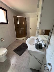 a bathroom with a shower and a sink and a toilet at Kuća za odmor Oaza mira in Kovačevo Polje