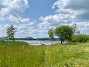 a field of tall grass next to a lake at Apartmán Lipenka in Černá v Pošumaví