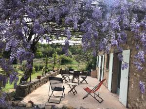 Zahrada ubytování Les Vendangeurs, gîte au milieu des vignes face au Luberon