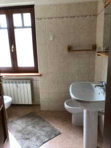 baño con lavabo y aseo y ventana en Appartamento Saint-Jacques des Allemands, en Champoluc