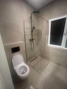 a bathroom with a toilet and a glass shower stall at Centrum Hilversum appartement in Hilversum