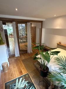 奈梅亨的住宿－Studio Senang，一间卧室配有一张床和盆栽植物