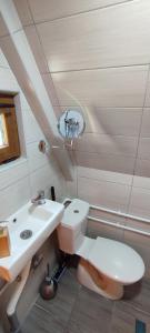 a bathroom with a white sink and a toilet at Cottage 1600 Bosaca in Nikšić +10 photos