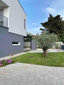 a tree in a yard next to a house at Villa Ida in Punat