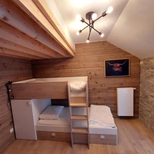 Pokój z łóżkiem piętrowym i drabiną w obiekcie Au Charm'Han w mieście Han-sur-Lesse
