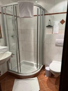 y baño con ducha y aseo. en Premium Mara en Sankt Johann im Pongau
