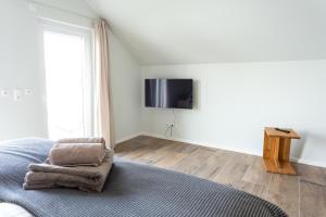 TV a/nebo společenská místnost v ubytování Geiseltalsee Haus am See mit Wallbox
