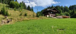 una casa sul fianco di una collina con un campo verde di Ferienhaus am Berg a Oberstaufen