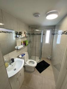 a bathroom with a shower and a toilet and a sink at City Centre Studio Apartment in Dublin
