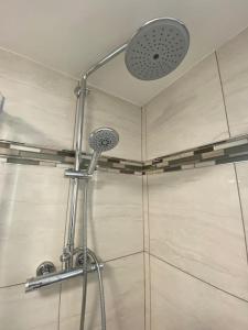 La salle de bains est pourvue d'une douche avec un pommeau de douche. dans l'établissement City Centre Studio Apartment, à Dublin