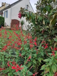 einen Garten mit roten Blumen vor einem Haus in der Unterkunft Petit nid des années 30 sur les hauts de Morlaix in Morlaix