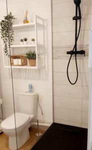 a bathroom with a toilet and a shower at Les Coteaux de Mahé in Tournon-sur-Rhône