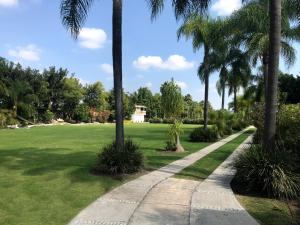 une passerelle traversant un parc planté de palmiers dans l'établissement Hotel Camino del Bosque Atlixco by Rotamundos, à Atlixco