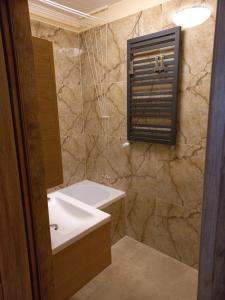 een badkamer met een wastafel en een bad bij Apartament 7 Piętro in Bydgoszcz