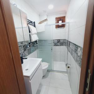 a bathroom with a toilet and a sink and a shower at Denis suit apart in Istanbul