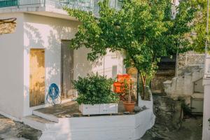 Zahrada ubytování The apricot tree studio