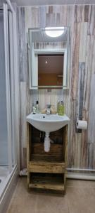 a bathroom with a sink and a mirror at Rowcroft Lodge in Paignton