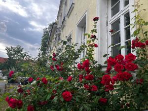Zahrada ubytování Gut Manderow an der Ostsee