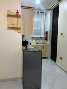 a kitchen with a black refrigerator and a sink at Cozy Haven furnished apartments in Kampala