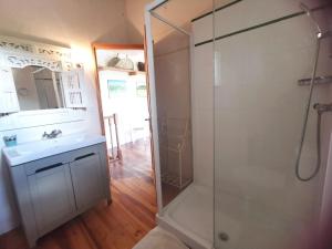 a bathroom with a shower and a sink and a mirror at Chambre de charme in Cavanac +15 photos
