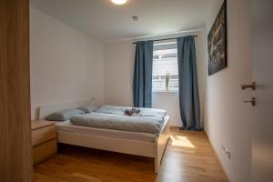 um quarto com uma cama com um gato sentado nela em RESIDENZ 206 INNSBRUCK I FREE PARKING em Innsbruck