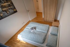 um pequeno urso de peluche sentado numa cama num quarto em RESIDENZ 206 INNSBRUCK I FREE PARKING em Innsbruck