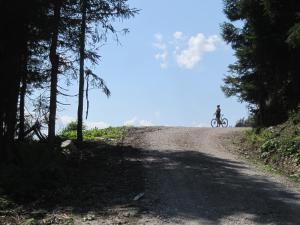 Příroda nedaleko apartmánu
