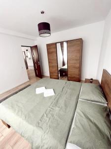 1 dormitorio con 1 cama grande en una habitación en NS apartment 2, en Cluj-Napoca