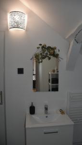 y baño con lavabo blanco y espejo. en Quiétude au Bord de Loire. en Orléans