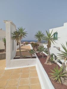 vistas a un patio con palmeras y a un edificio en Lazydays en Puerto del Carmen