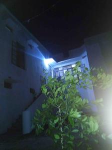una planta frente a un edificio por la noche en the APARTMENT house, en Mbale
