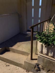 Fotografia z galérie ubytovania Apartman Lucic C v Dubrovníku