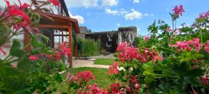 un jardín con flores rosas frente a un edificio en Au Bunker 67 en Rott