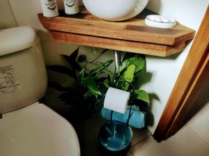 a bathroom with a toilet and a plant on a shelf at Morada Héstia in Imbé