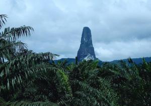 a view of a rock in the jungle with trees at Ilhéu Castle in Ilheu das Rolas