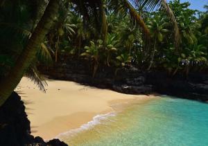 a beach with palm trees and blue water at Ilhéu Castle in Ilheu das Rolas