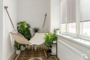 Fotografie z fotogalerie ubytování Déjà vu BOTiQUE v destinaci Olomouc