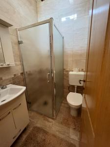 e bagno con doccia, servizi igienici e lavandino. di Green house Rakovica 