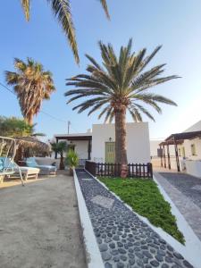a palm tree in the driveway of a house at Palm Studios in Perissa