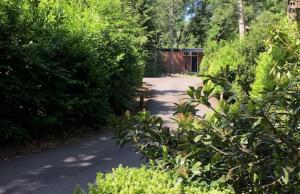 een pad door een tuin met bomen en een gebouw bij Luxe boshuis in hartje Drenthe in Spier
