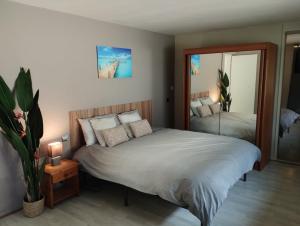 a bedroom with a bed and a large mirror at Villa Armonia, piscine chauffée, jacuzzi et jardin à 5mn du lac d Annecy in Doussard