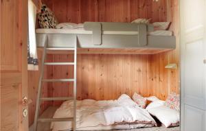 2 beliches num quarto com paredes de madeira em 4 Bedroom Awesome Home In Heidal em Heidal